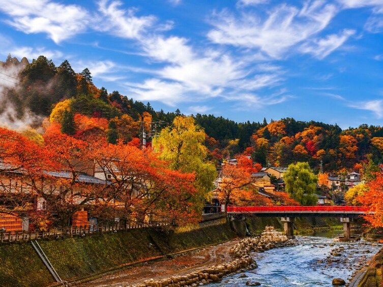 From Nagoya: Hida Takayama & Shirakawa-go 1-Day Bus Tour w/ Optional Meal 5