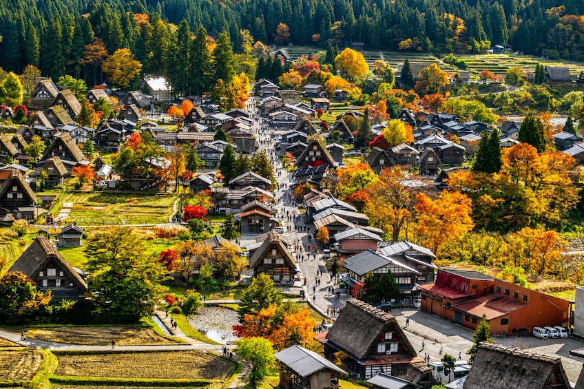 From Nagoya: Hida Takayama & Shirakawa-go 1-Day Bus Tour w/ Optional Meal 1