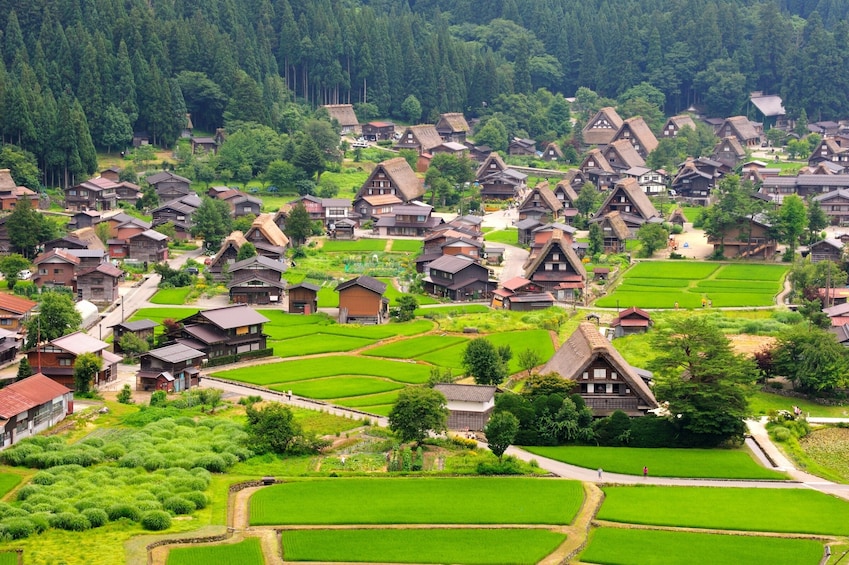From Nagoya: Gujo Hachiman & Shirakawago Bus Tour with Lunch 1