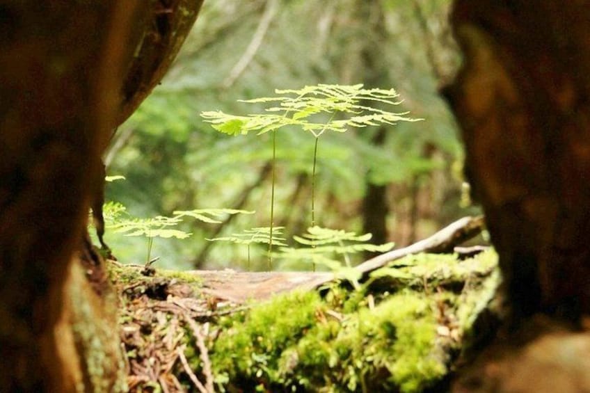 Capture some stunning photos of the areas natural environment! 3