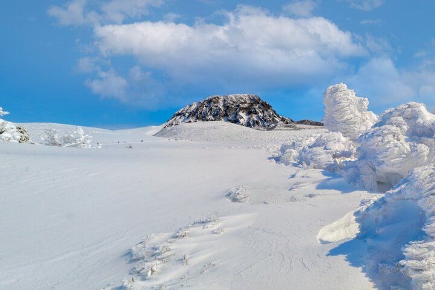Mt.Halla in Winter 2