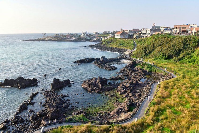 Seashore in Jeju 4