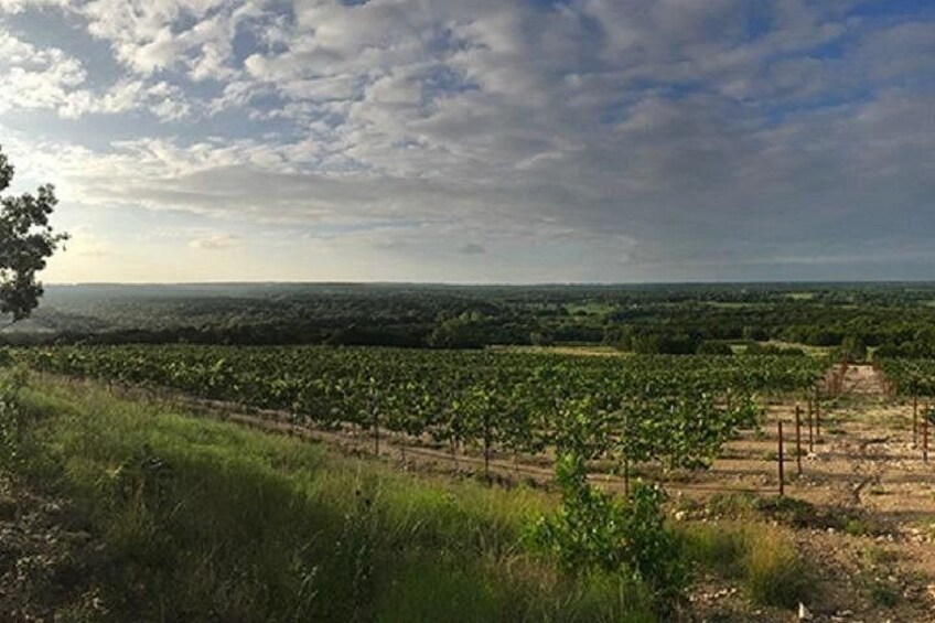 North Texas Wineries & Vineyards Tour & Tastings 3