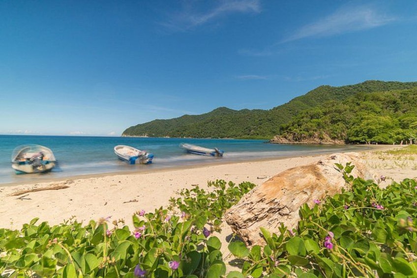 Tayrona Park Hike Tour to Cabo San Juan: Private or Shared 3