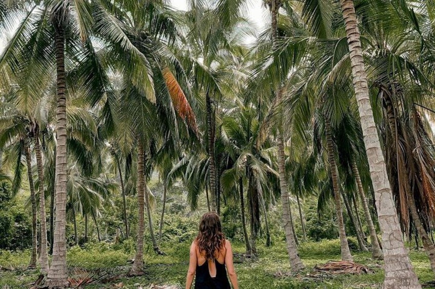 Tayrona Park Hike Tour to Cabo San Juan: Private or Shared 5