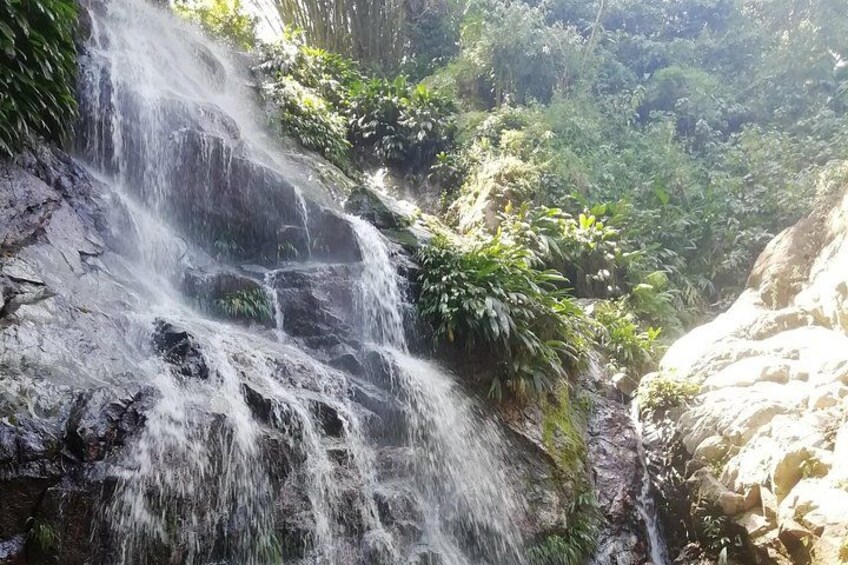 A waterfall cascading over rocks surrounded by lush greenery. 3