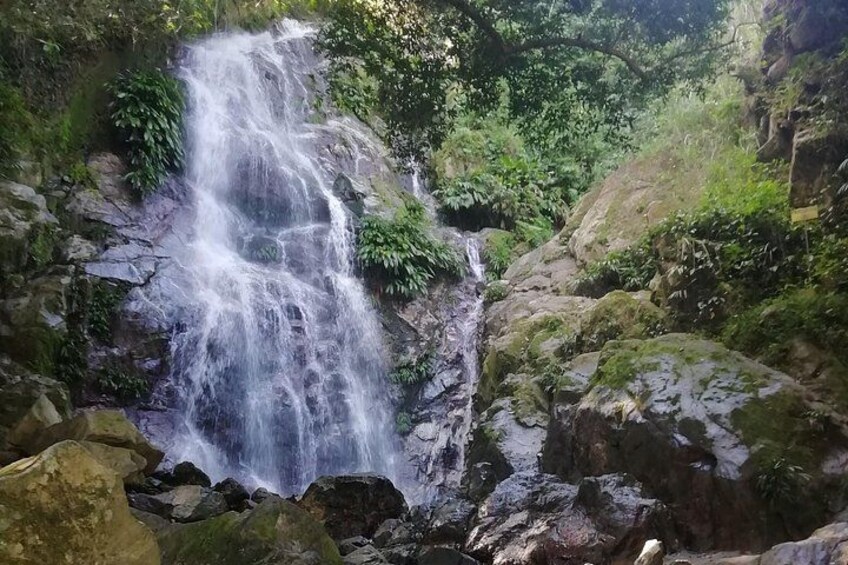 A waterfall cascading over rocks in a forested area. 5