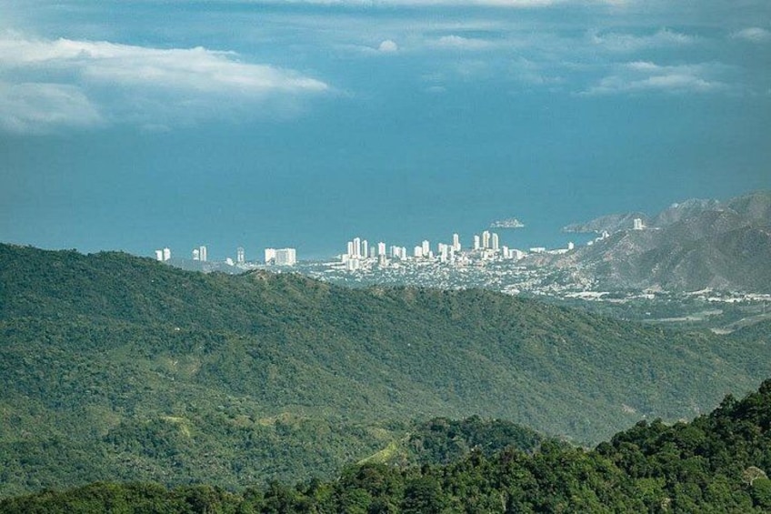 A cityscape with buildings on a hillside, surrounded by dense green forest. 1