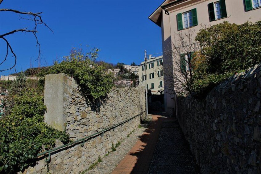Un estrecho sendero de piedra bordeado por muros de piedra y vegetación, que conduce a un edificio con contraventanas verdes. 2