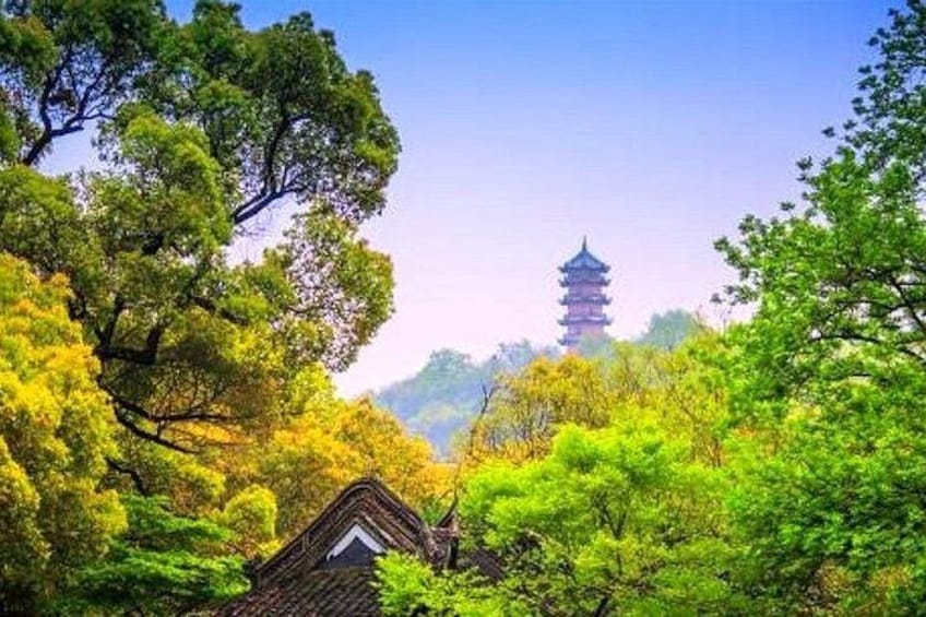 A pagoda surrounded by lush green trees. 3