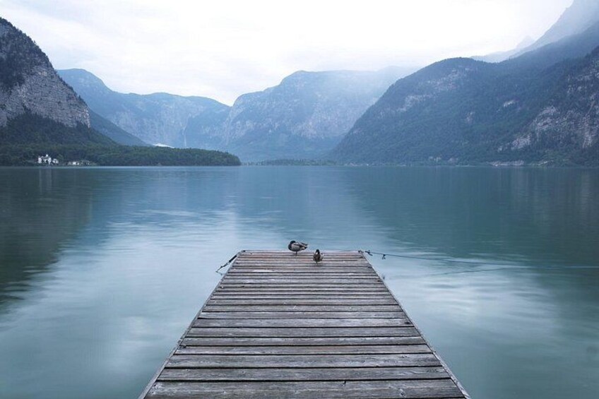 Private day tour to Lake District and Hallstatt from Salzburg 3