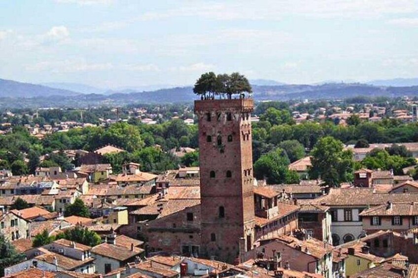 Pisa and Lucca from the Cruise Port of La Spezia 5