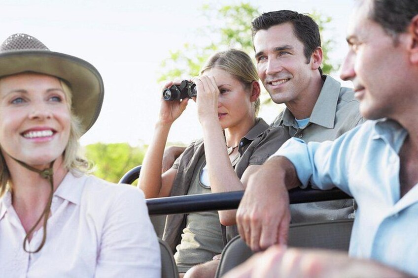Wild Kragga Kamma Game Park - Private Tour from Port Elizabeth 2