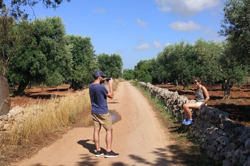 Private Bike Tour with Olive Oil Tasting