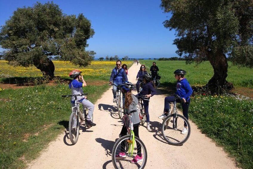 Masseria's Bike Tour with Vegetarian Lunch