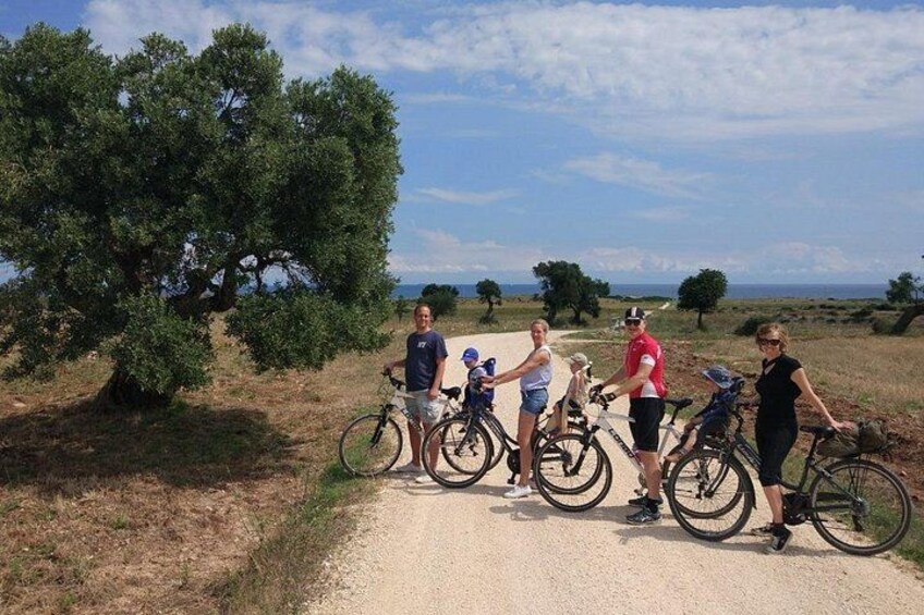 Private Bike Tour with Olive Oil Tasting 2