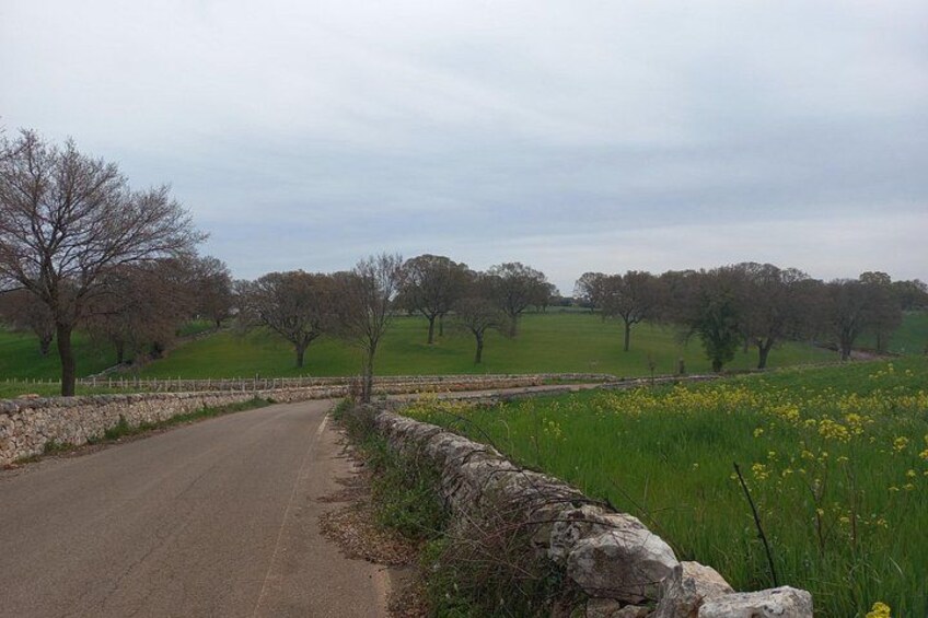 Discovery Villages Puglia With Ebike 4