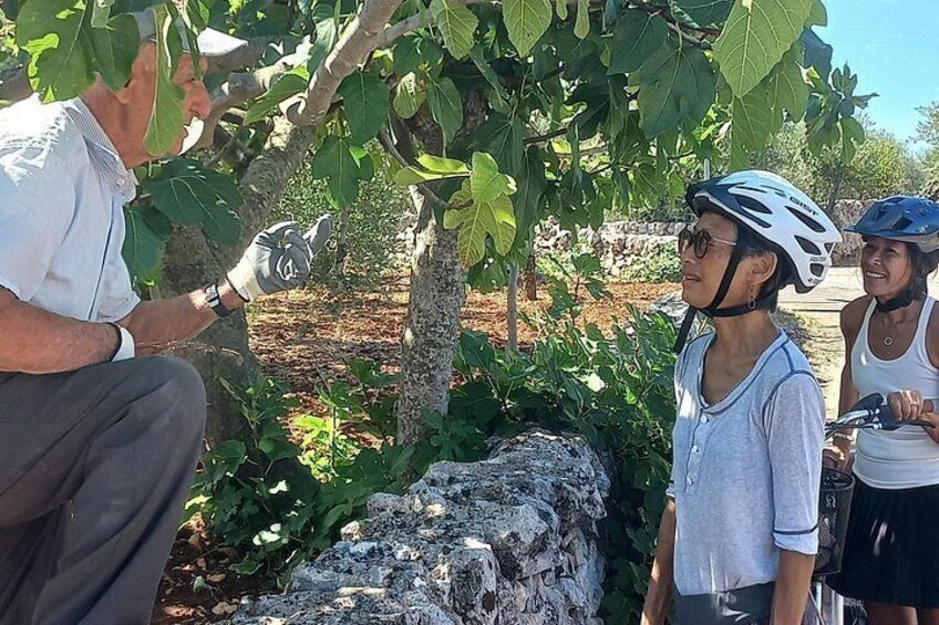Discovery Villages Puglia With Ebike 3