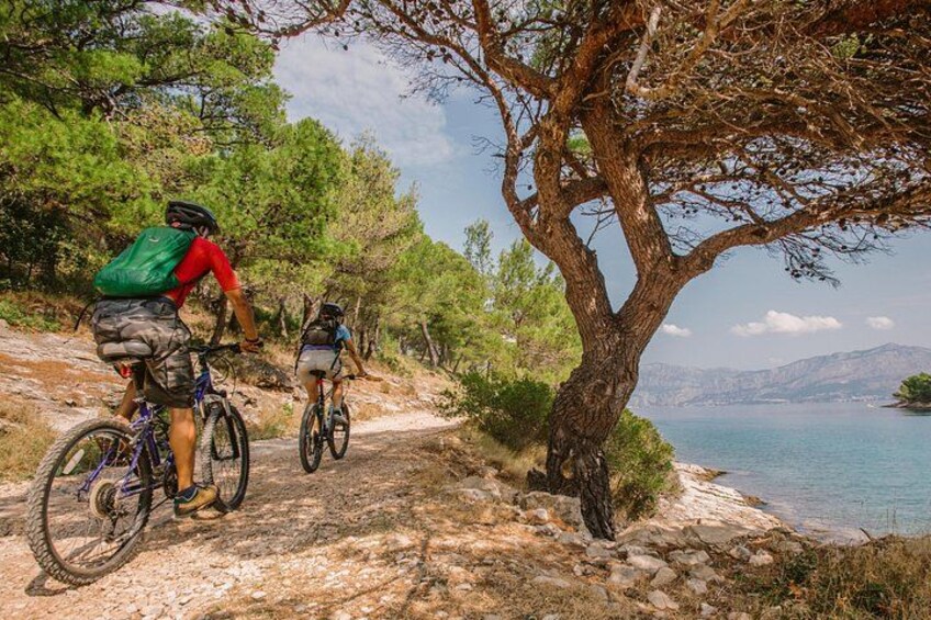 Biking Tour: Supetar - Splitska - Lovrečina - Dol - Postira 1