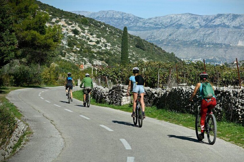 Biking Tour: Supetar - Splitska - Lovrečina - Dol - Postira 4
