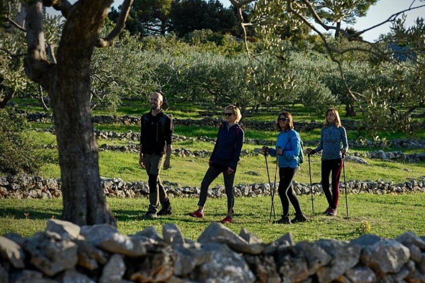 Hiking tour Vidova gora and visiting Museum of olive oil 1