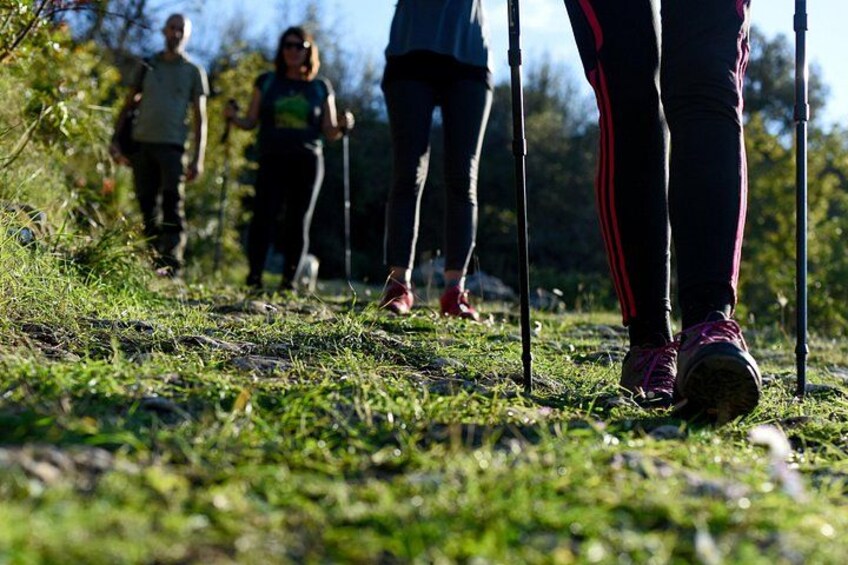 Hiking tour Vidova gora and visiting Museum of olive oil 4