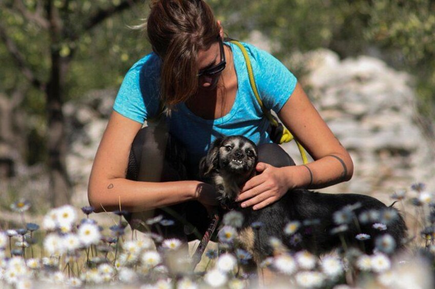 Hiking tour Vidova gora and visiting Museum of olive oil 5