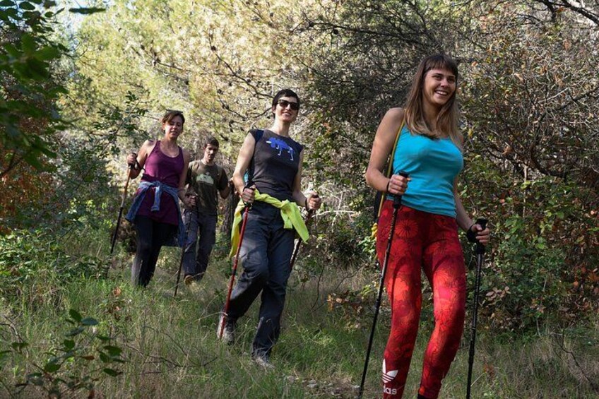 Hiking tour Vidova gora and visiting Museum of olive oil 2