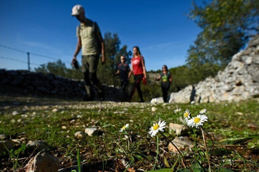 Hiking Dol - Vidova Gora