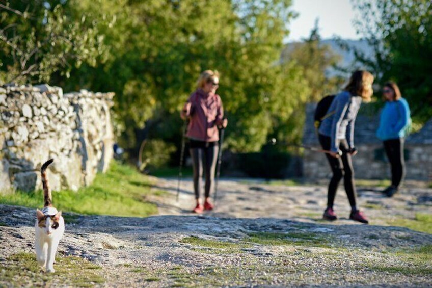 Hiking Dol - Vidova Gora