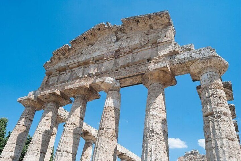 Paestum Temples and Museum Skip the Line Private Guided Tour with a Local Guide