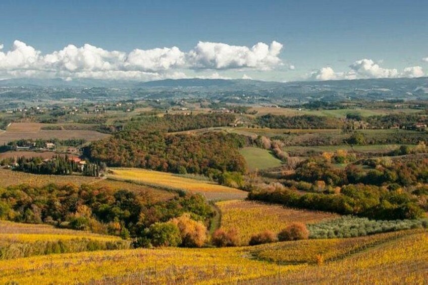 Cesani Wine Experience 1