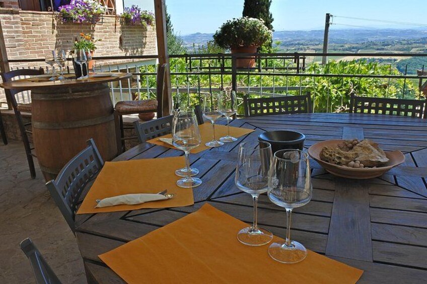 Cesani Wine Experience 3