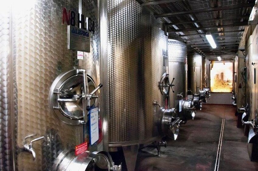 Cesani Wine Experience 5
