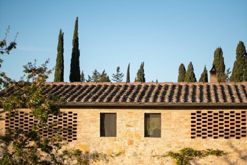 Wine and food tasting on an organic family farm.