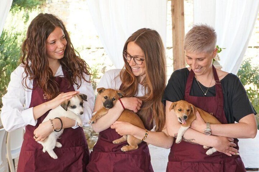 Wine and food tasting on an organic family farm.