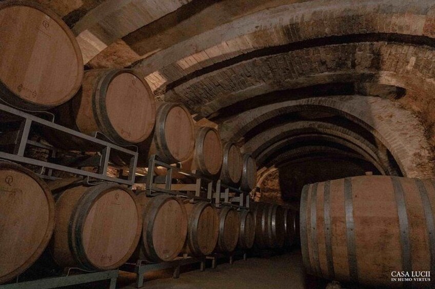 Wooden wine barrels stacked in a dimly lit, arched cellar. 5