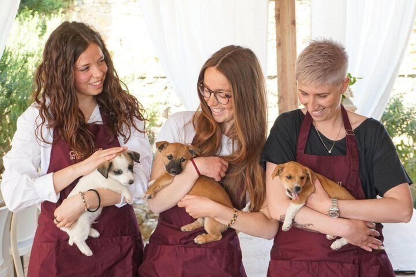 Three individuals holding dogs. 5