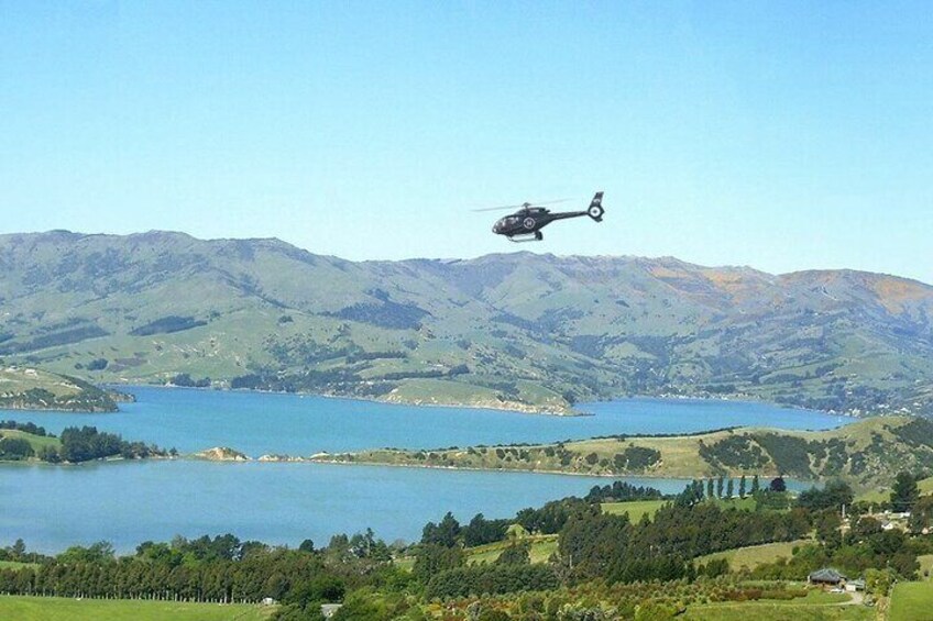 Akaroa & Banks Peninsula Scenic