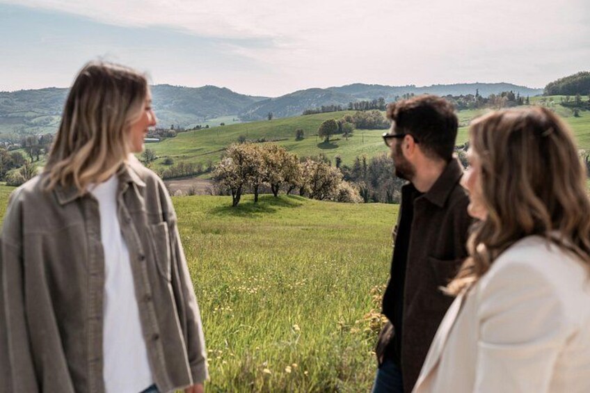 Half Day Private Parmigiano Reggiano and Parma Ham Experience | Artemilia Guided Tours | Discover the Parma Countryside 3
