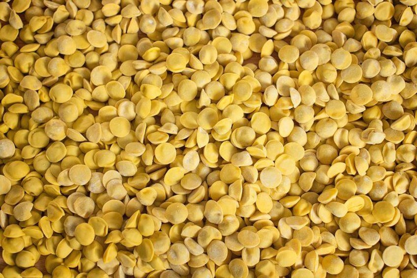 Hand-Made Fresh Pasta | Artemilia Guided Tours | Parma Food Walking Tour 2