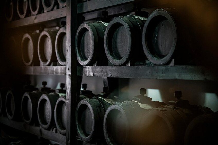 Parmigiano Reggiano & Balsamic Vinegar Private Tour and Tasting | Acetaia 3