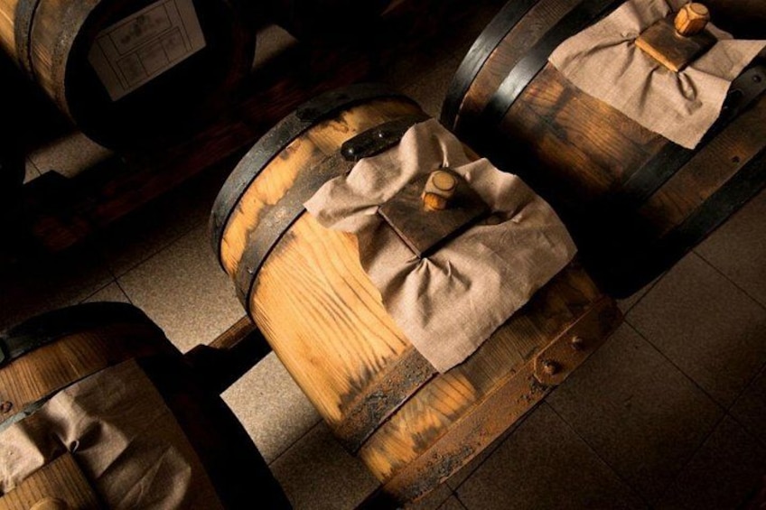 Parmigiano Reggiano & Balsamic Vinegar Private Tour and Tasting | Artemilia Guided tours | How Traditional Balsamic Vinegar is Made 5