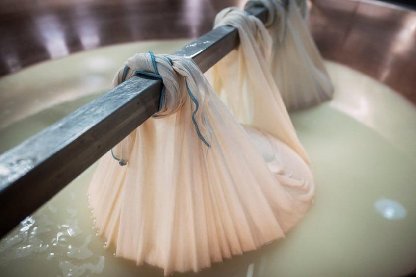 Parmigiano Reggiano & Balsamic Vinegar Private Tour and Tasting | Dairy experience 2