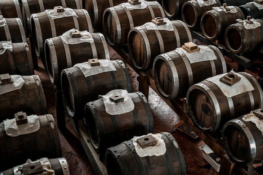 Parmigiano Reggiano & Balsamic Vinegar Private Tour and Tasting | Batteries 2