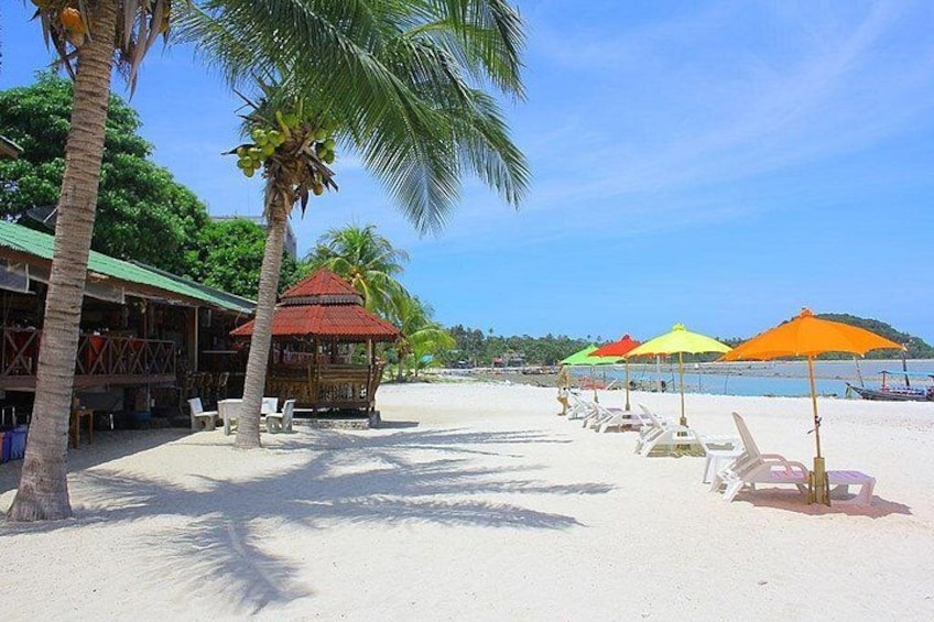 Pink Dolphin & Pig Island with Snorkeling Full Day Experience 3