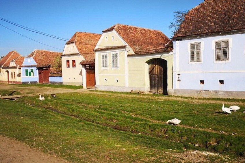 Medieval Sighisoara, Rural Viscri & Rupea Fortress PRIVATE Tour 3