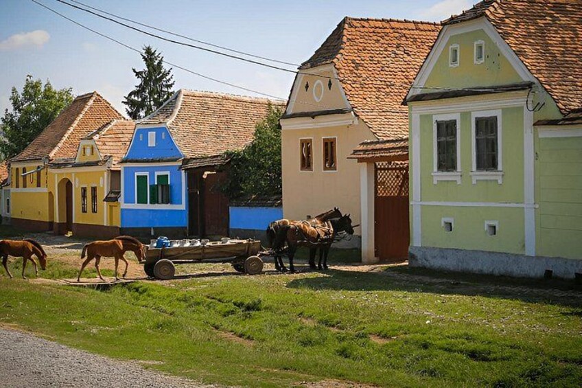 Medieval Sighisoara, Rural Viscri & Rupea Fortress PRIVATE Tour 2