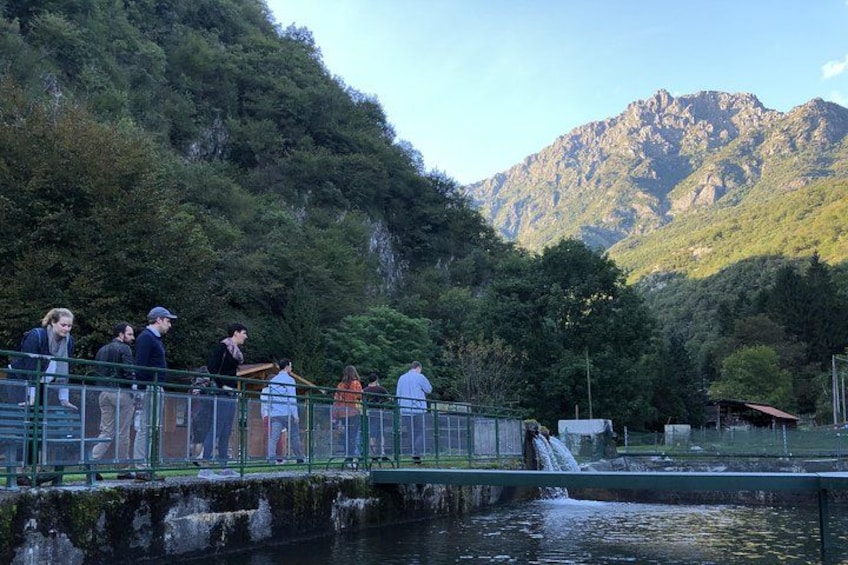 A bridge with people walking, a waterfall, and a mountainous backdrop. 2