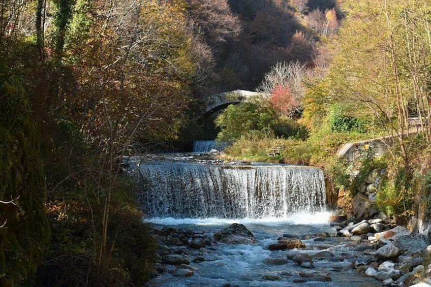Una cascata in una zona boschiva, con un ponte di pietra sullo sfondo. 2